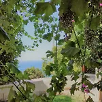 Palaiopoli View شقة *