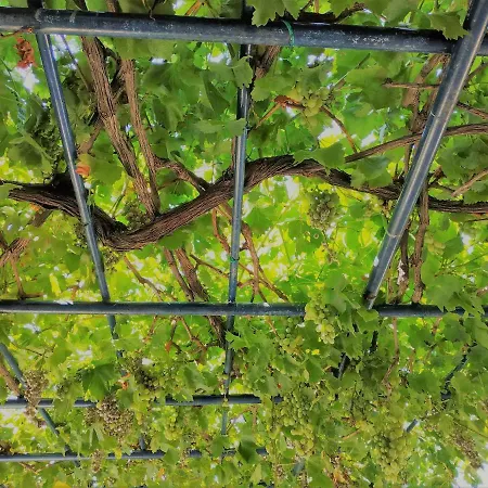 Palaiopoli View * Palaiopolis (Andros)