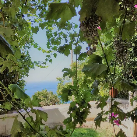 Palaiopoli View Apartment *