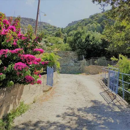 Palaiopoli View Palaiopolis (Andros)