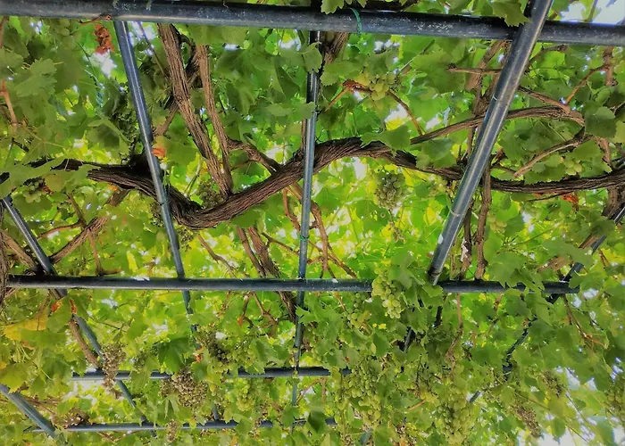 Palaiopoli View * Παλαιόπολη