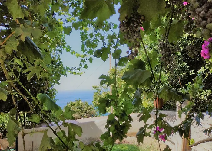 Palaiopoli View Διαμέρισμα *